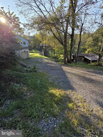 a view of yard with trees