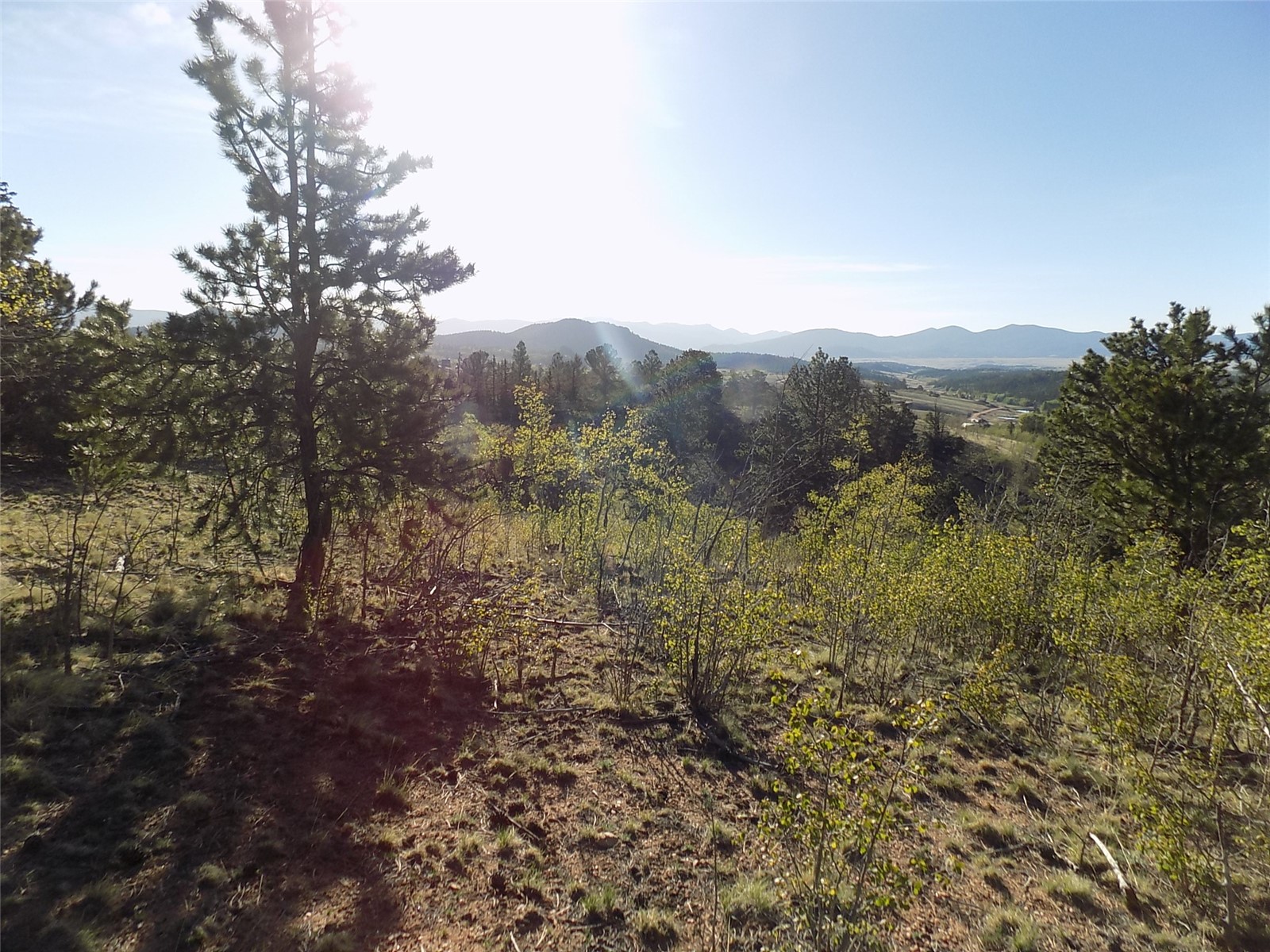 187 Osprey Road Como, CO 80432 - Photo 11 of 20 Gallery Image 11