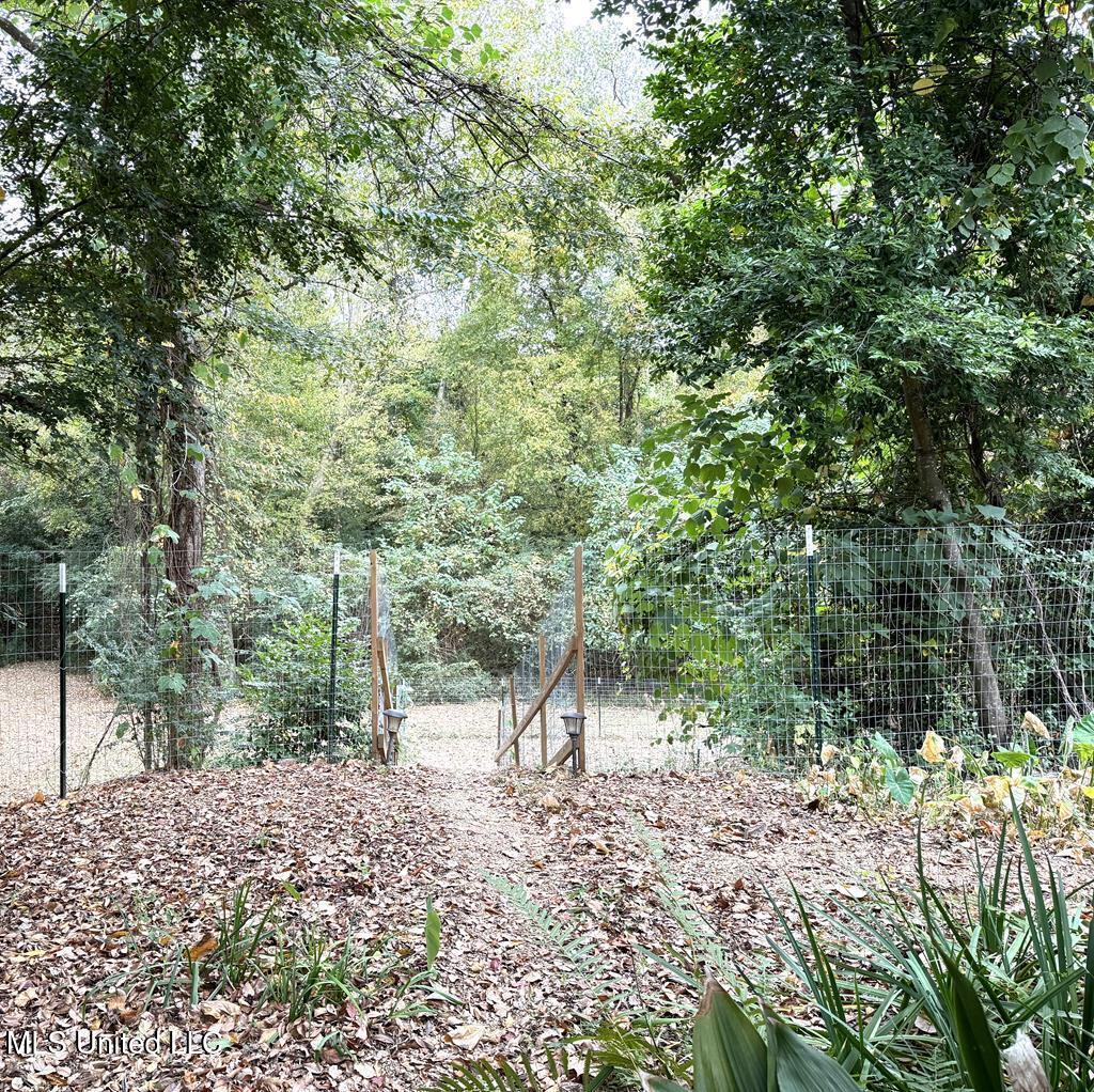 102 Dana Road Natchez, MS 39120 - Photo 34 of 64 20230599_35