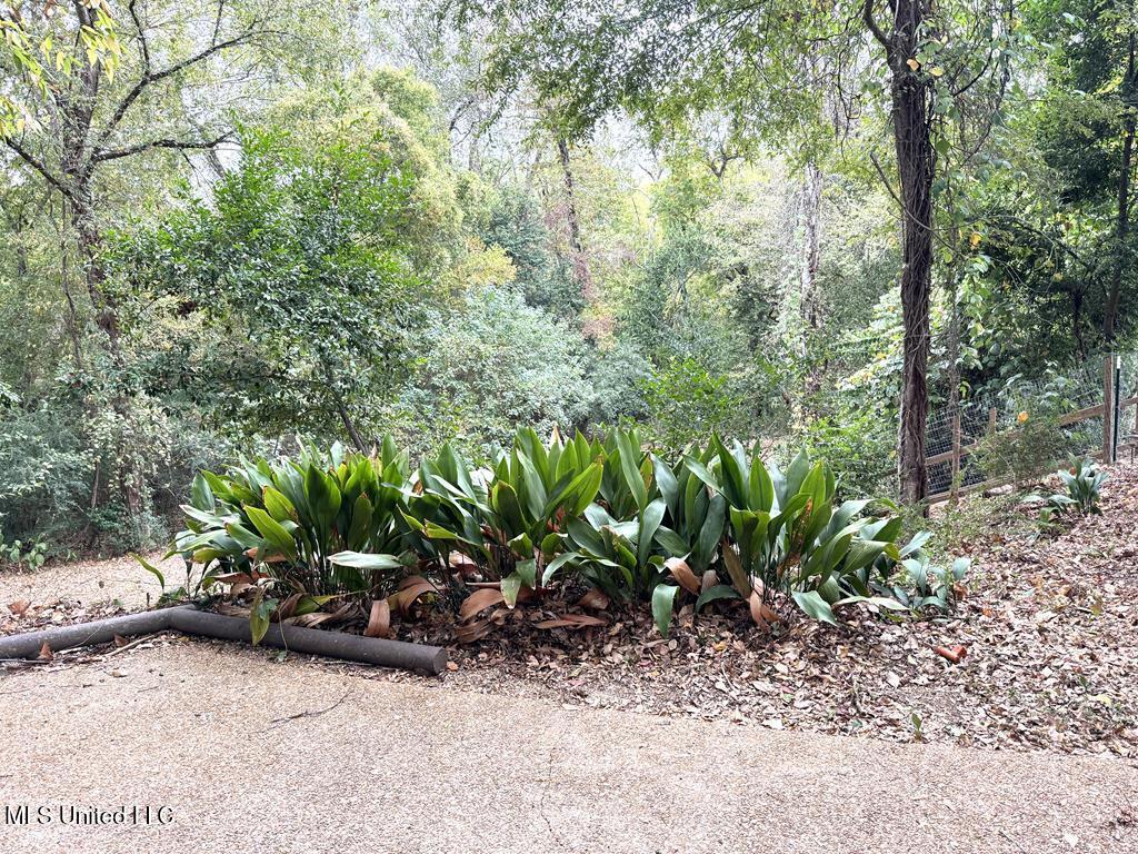 102 Dana Road Natchez, MS 39120 - Photo 40 of 64 20230599_41