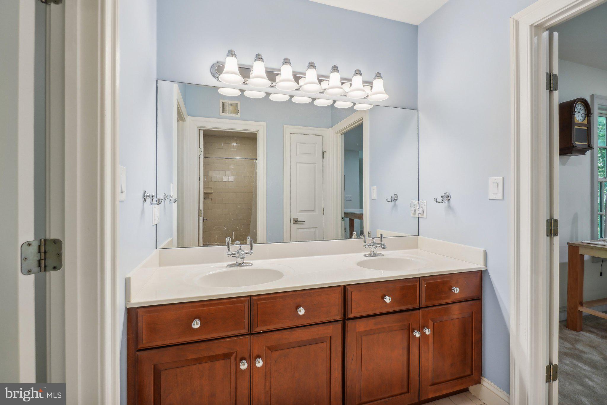 8683 Reservoir Road Fulton, MD 20759 - Photo 47 of 60 a bathroom with a sink vanity and a mirror