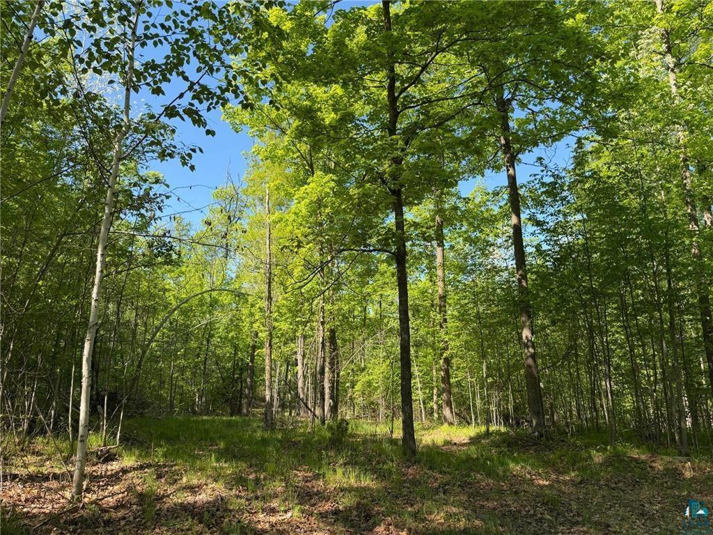 54003 Dollar Lake Road Sandstone, MN 55072 - Photo 25 of 40