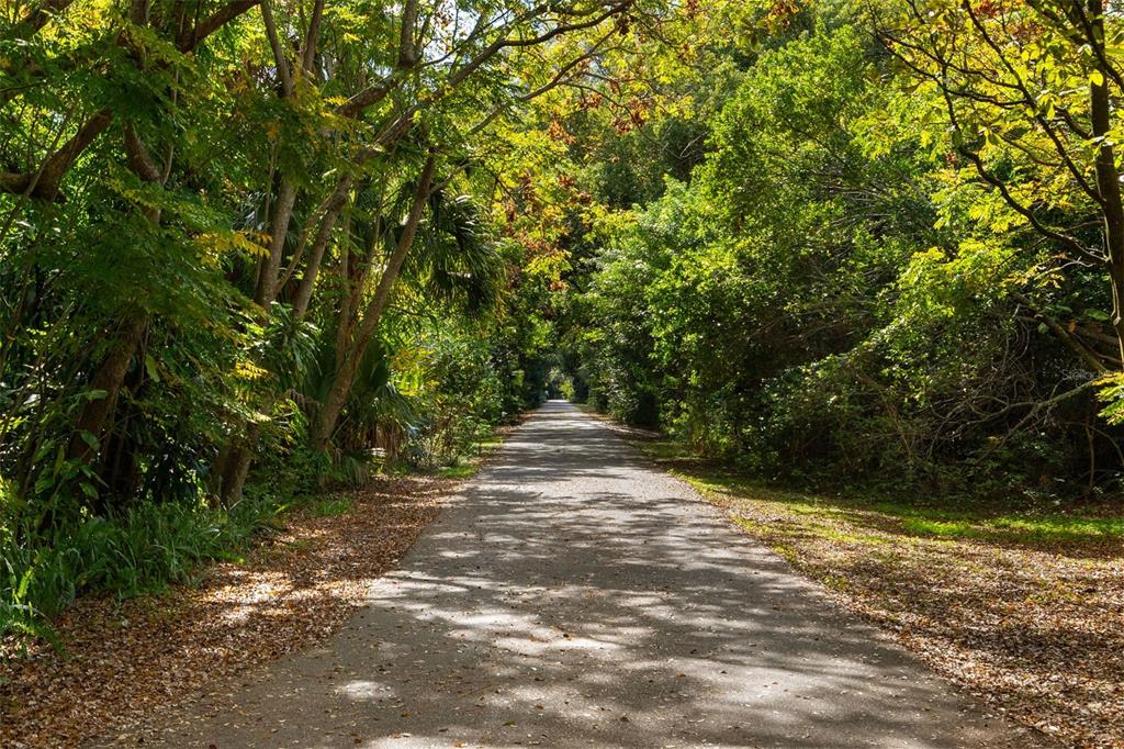 513 Cornwall Road Winter Park, FL 32792 - Photo 44 of 53