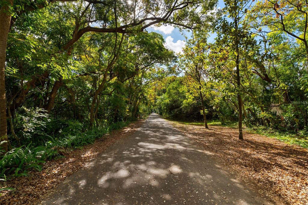 513 Cornwall Road Winter Park, FL 32792 - Photo 50 of 53