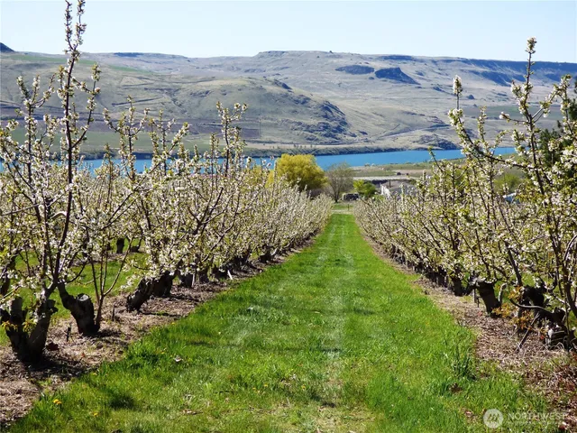 $298,000 | 501 Jack Wells Road, Bridgeport, WA 98813