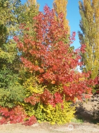 501 Jack Wells Road Bridgeport, WA 98813 - Photo 13 of 19