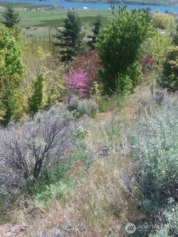 501 Jack Wells Road Bridgeport, WA 98813 - Photo 14 of 19