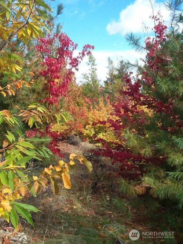 501 Jack Wells Road Bridgeport, WA 98813 - Photo 15 of 19