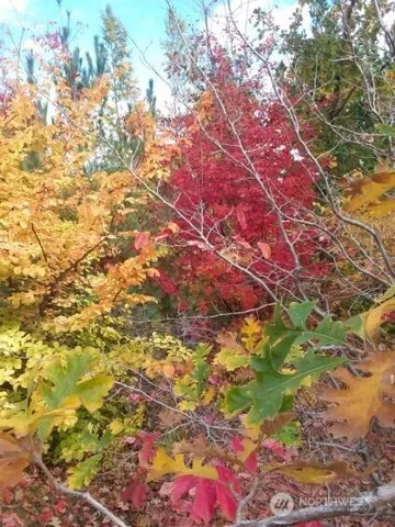 $298,000 | 501 Jack Wells Road, Bridgeport, WA 98813