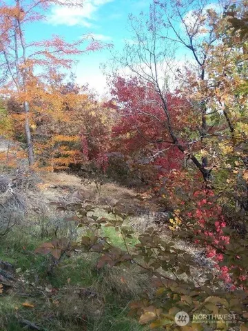 $298,000 | 501 Jack Wells Road, Bridgeport, WA 98813