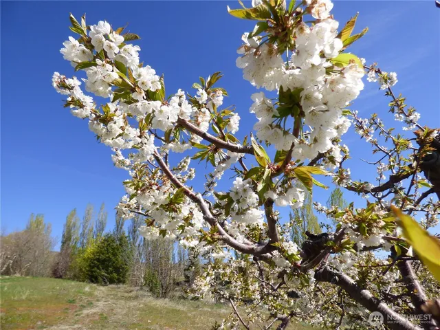 $298,000 | 501 Jack Wells Road, Bridgeport, WA 98813