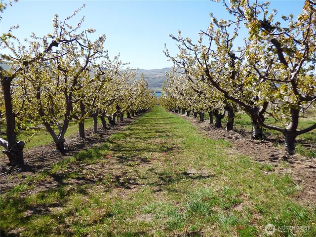 $298,000 | 501 Jack Wells Road, Bridgeport, WA 98813