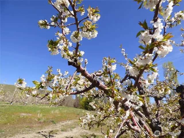 $298,000 | 501 Jack Wells Road, Bridgeport, WA 98813