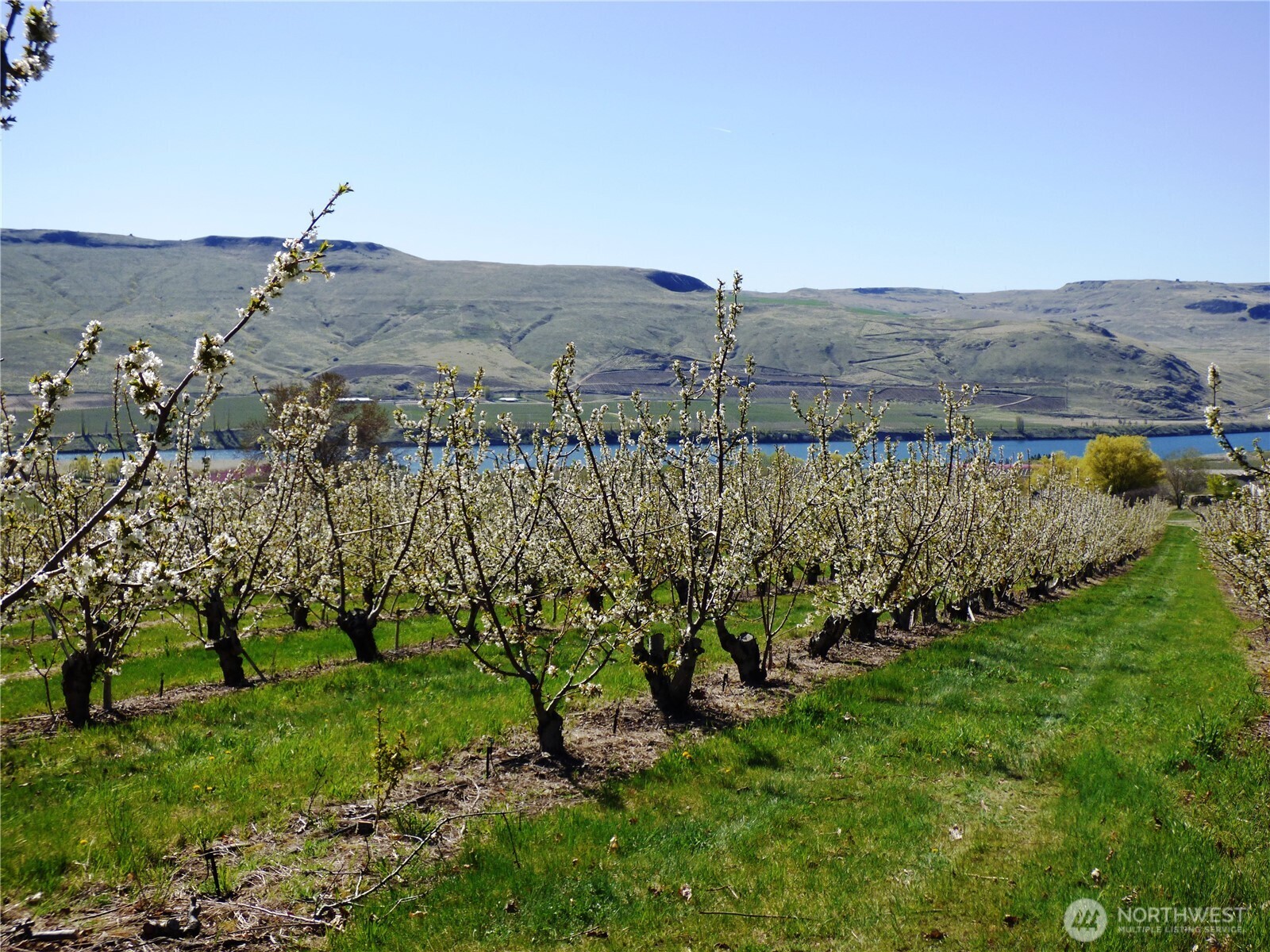 501 Jack Wells Road Bridgeport, WA 98813 - Photo 6 of 19