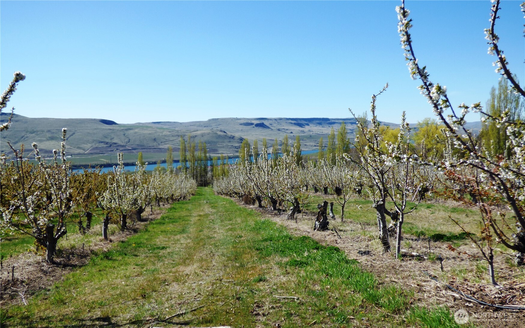 501 Jack Wells Road Bridgeport, WA 98813 - Photo 7 of 19