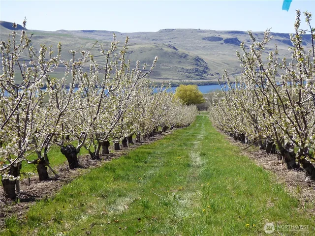 $298,000 | 501 Jack Wells Road, Bridgeport, WA 98813