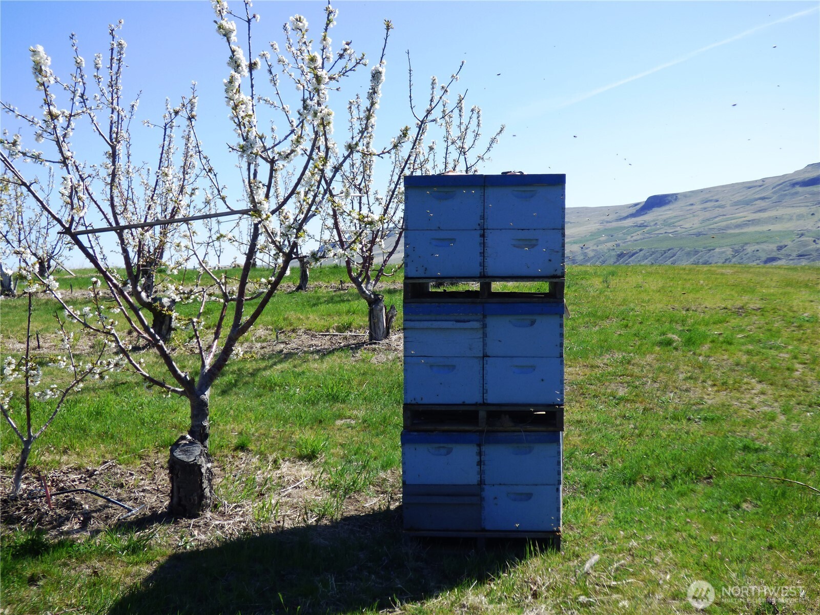 501 Jack Wells Road Bridgeport, WA 98813 - Photo 9 of 19