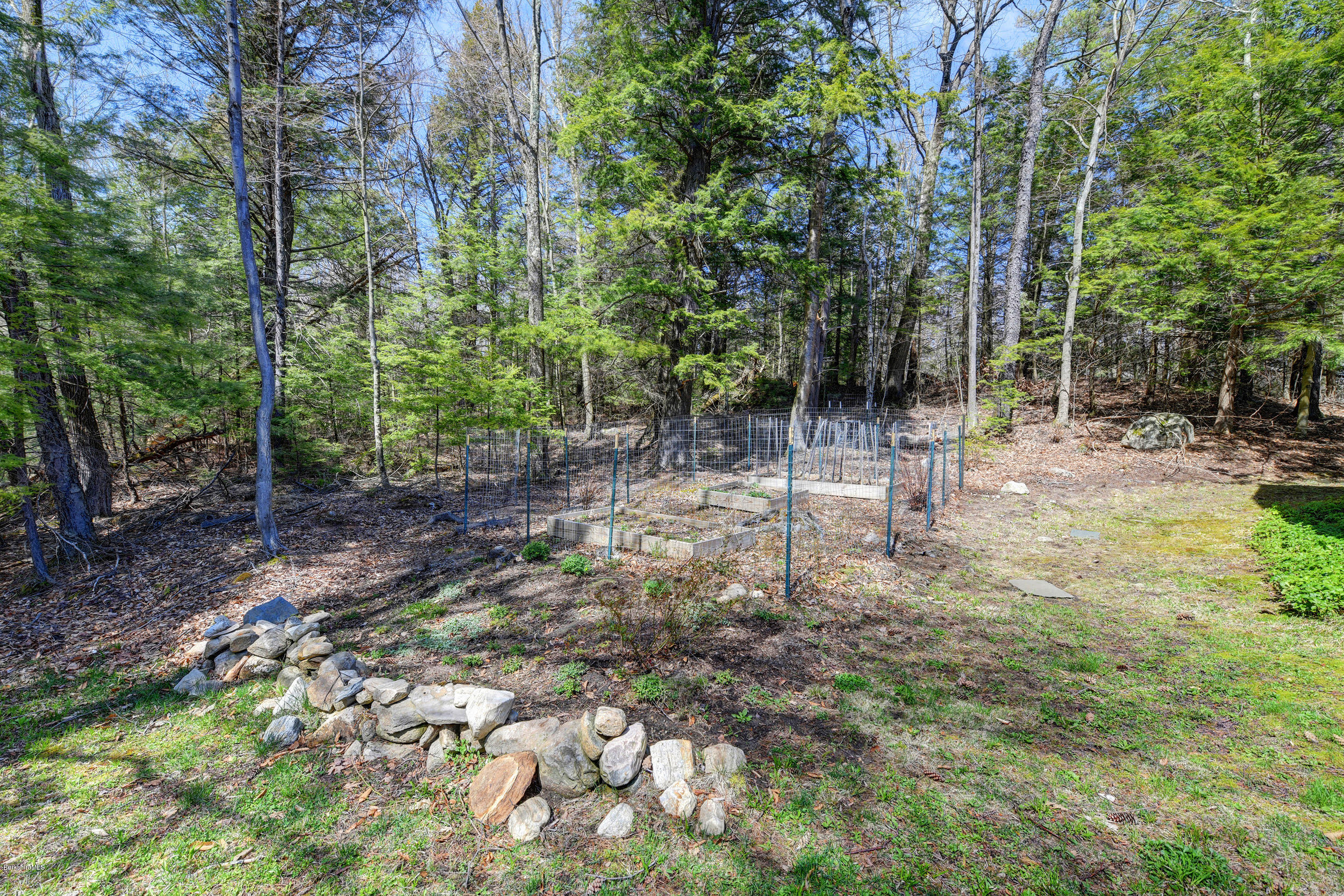 251 Captain Whitney Road Becket, MA 01223 - Photo 36 of 37 a backyard of a house with lots of green space