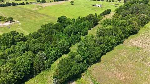 $205,000 | 368 County Road 4960, Quitman, TX 75783