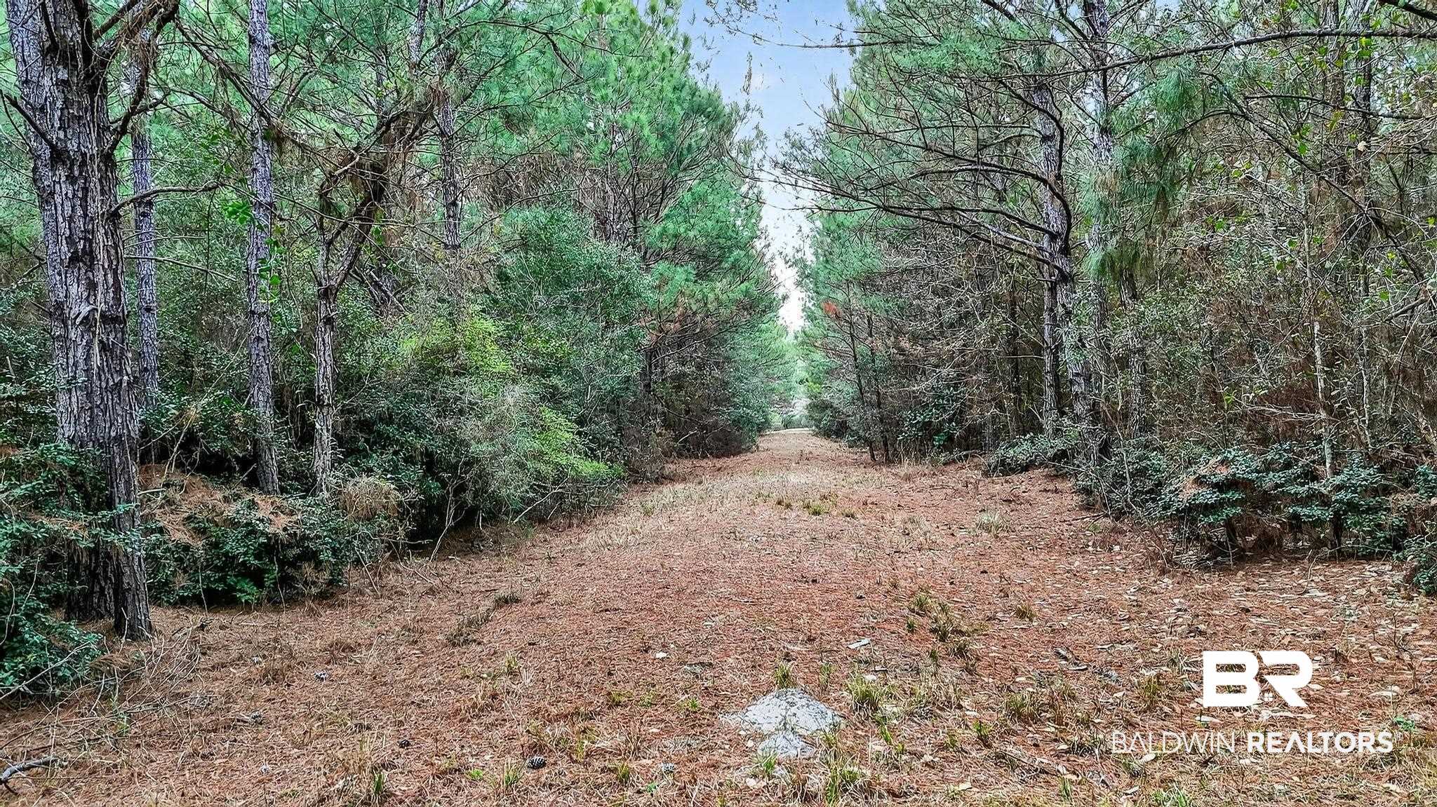 0 Hemley Road Bayou La Batre, AL 36509 - Photo 13 of 28
