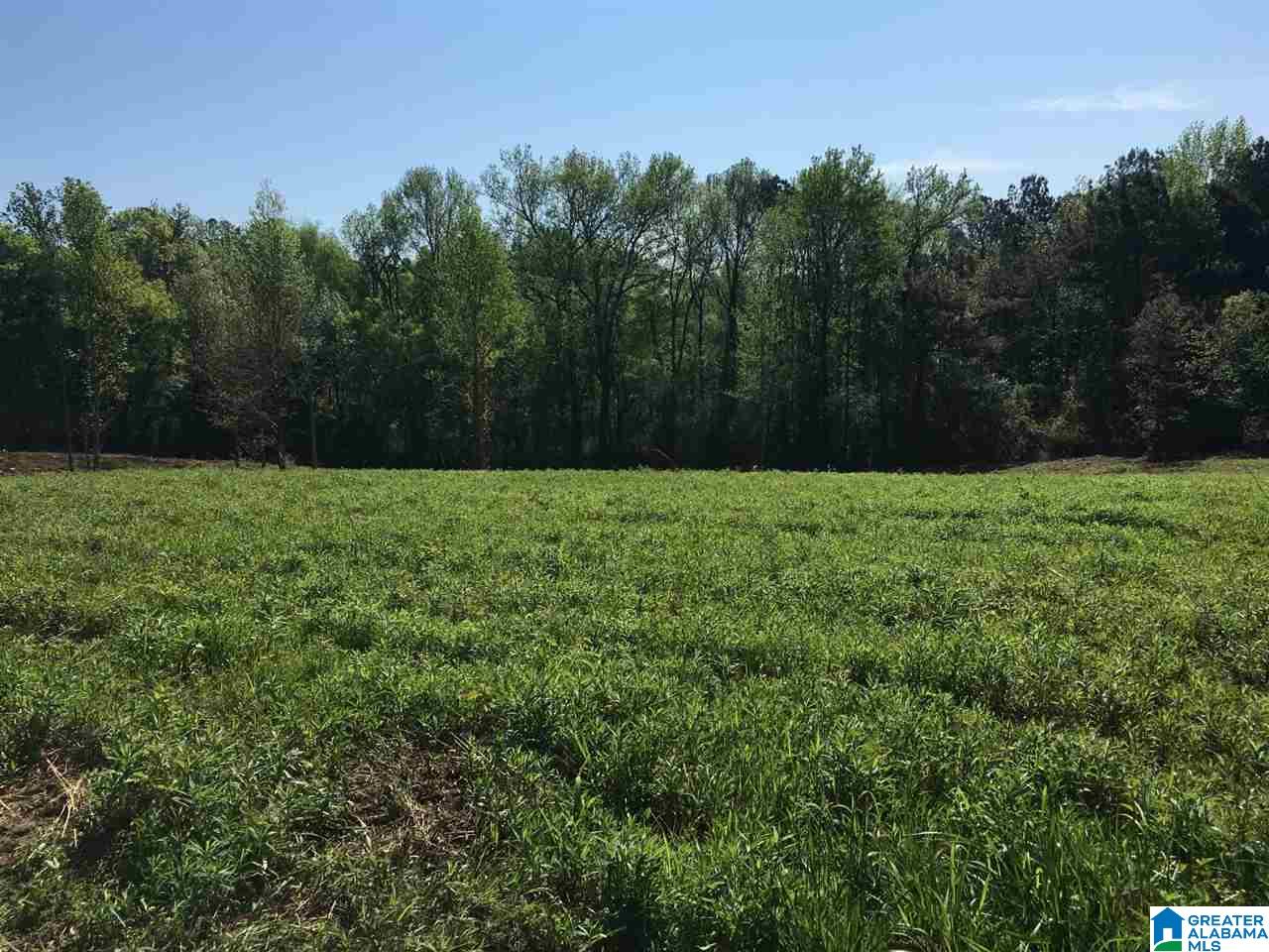 0 Runway Drive, Unit 1 Hayden, AL 35079 - Photo 7 of 9
