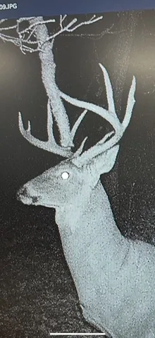 $2,749,000 | W6191 Lueck Lane, Princeton, WI 54968