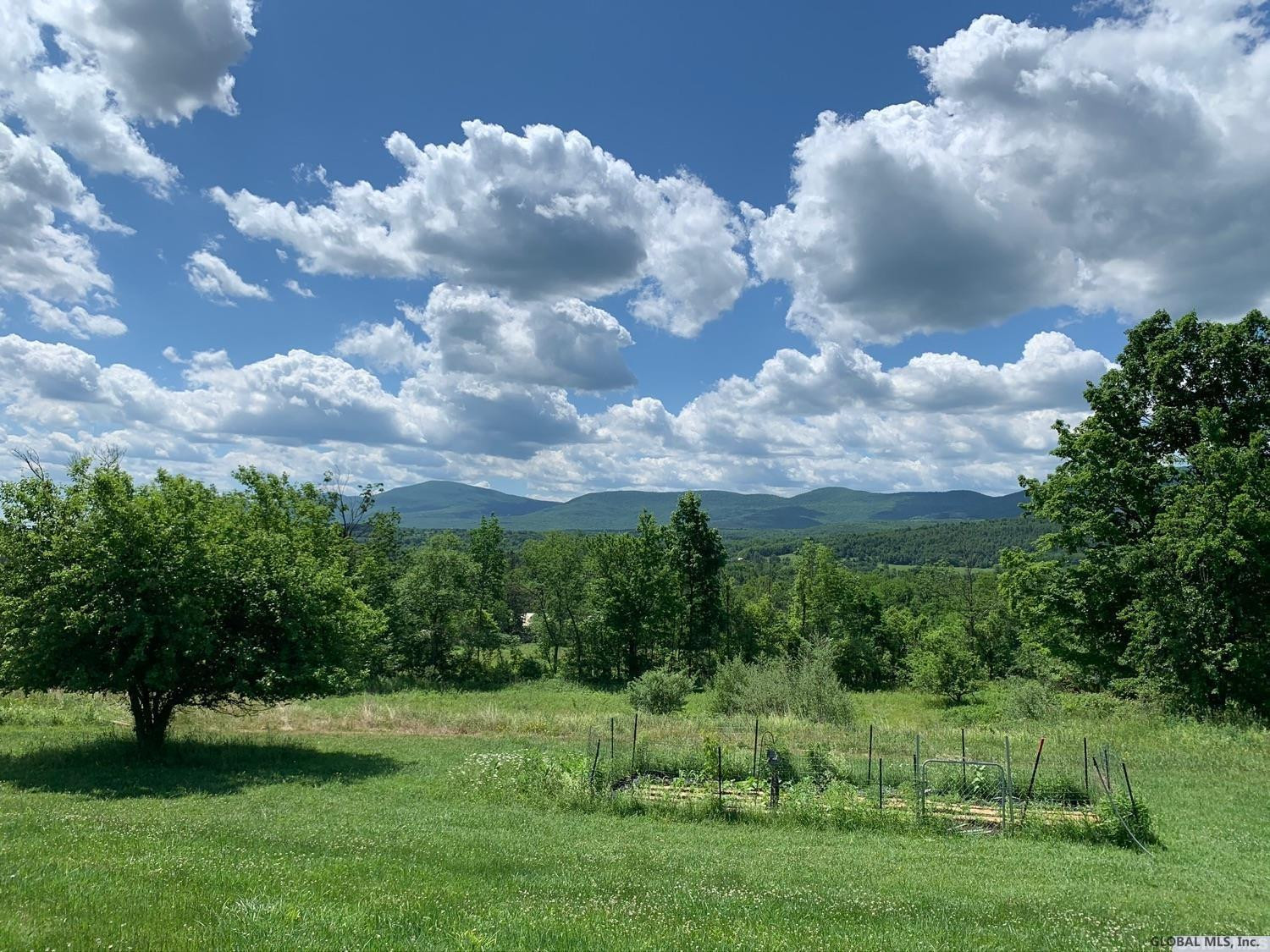 4355 Highway 81 Rensselaerville, NY 12460 - Photo 42 of 51 Photo 43