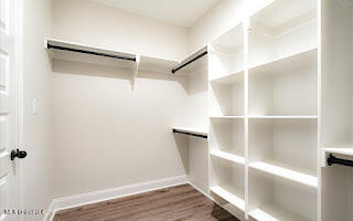 2225 Scott Mdws Lane Hernando, MS 38632 - Photo 24 of 35 master closet