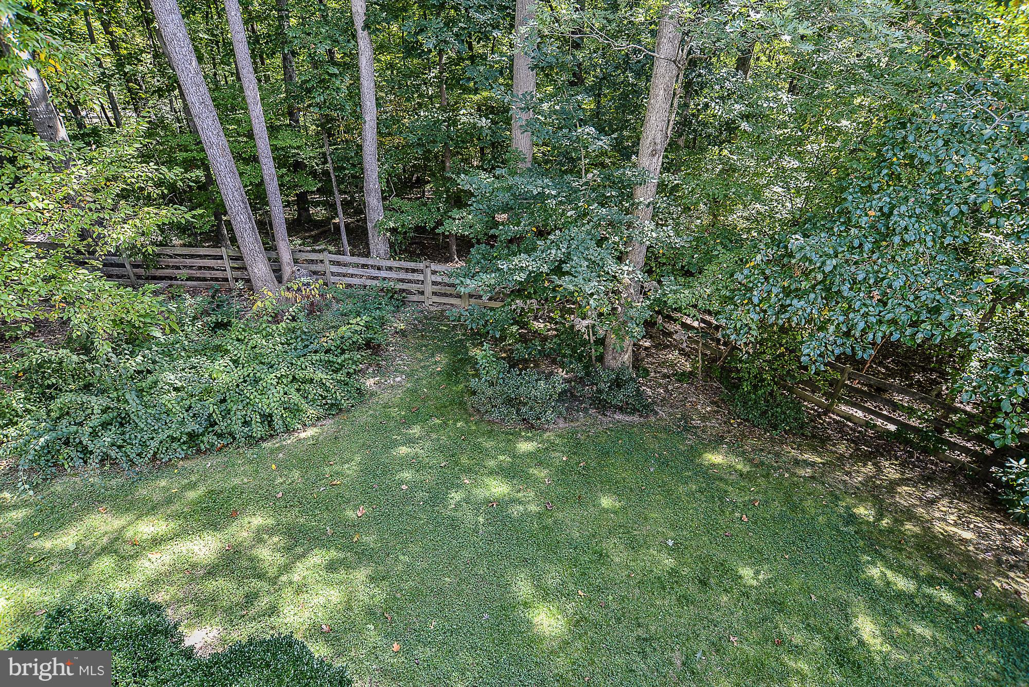 8457 Rushing Creek Court Springfield, VA 22153 - Photo 26 of 28 Private backyard backing to trees