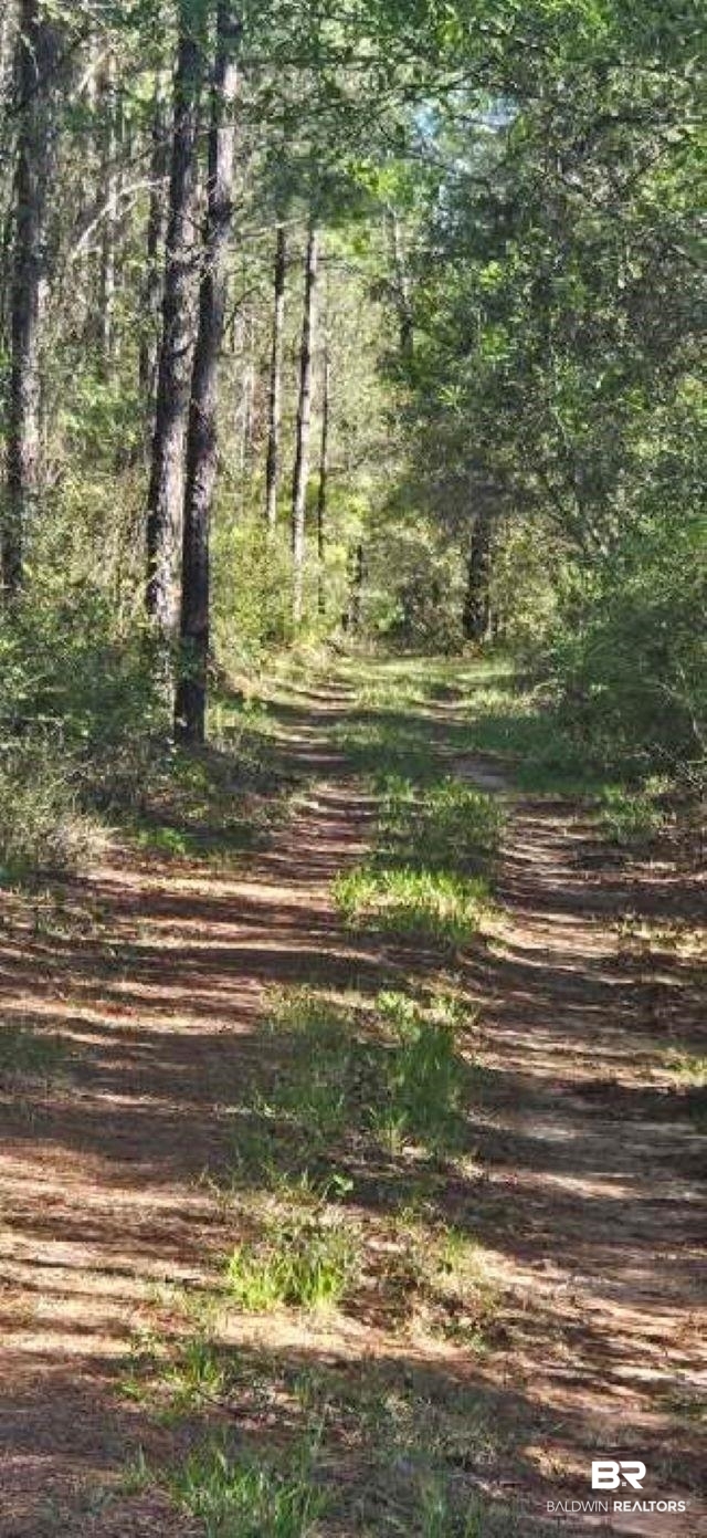 27861 New Hope Church Road Robertsdale, AL 36567 - Photo 29 of 29 Exterior space