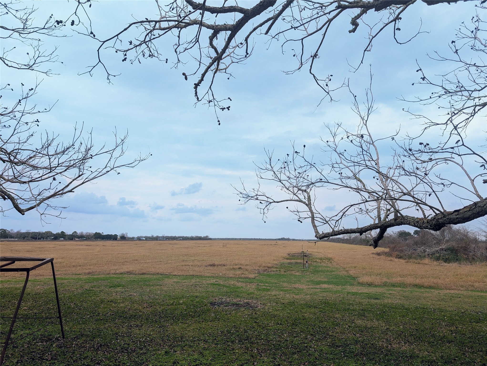 4779 Mixville Road Sealy, TX 77474 - Photo 40 of 47 Expansive view of open fields with a wide, clear sky. The landscape features bare trees framing the scene, offering a serene, natural setting ideal for someone seeking tranquility and space.