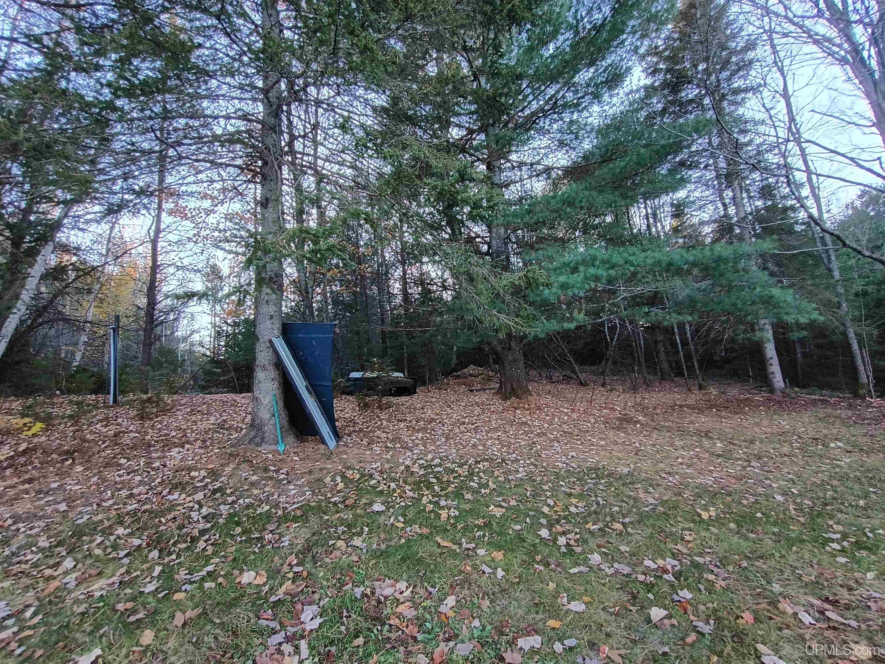 120 Town Line Road Skandia, MI 49885 - Photo 31 of 38