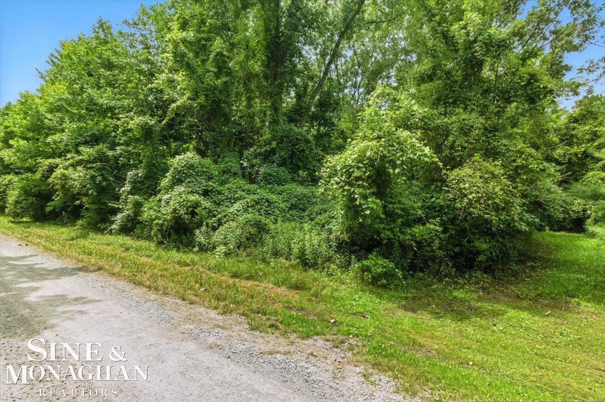 V/l Mayer Road Columbus, MI 48063 - Photo 16 of 21 50182407-942de799-0213-4439-905a-ef7d9e0df05d.JPG