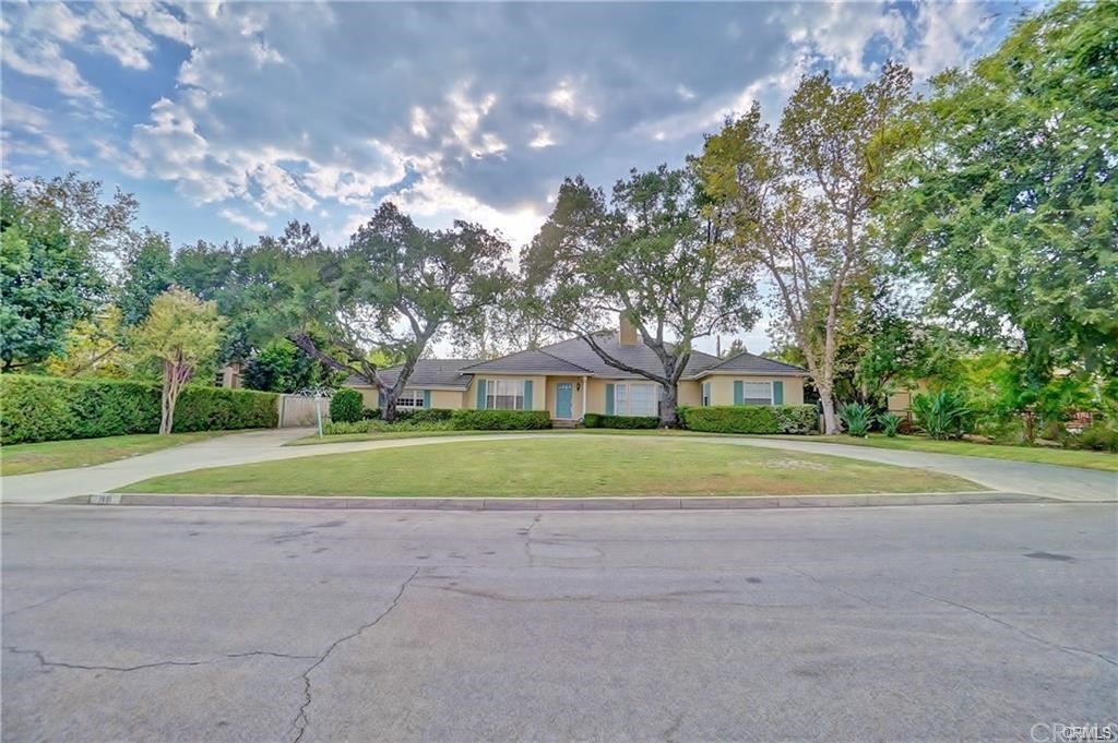 a view of large trees and a big yard
