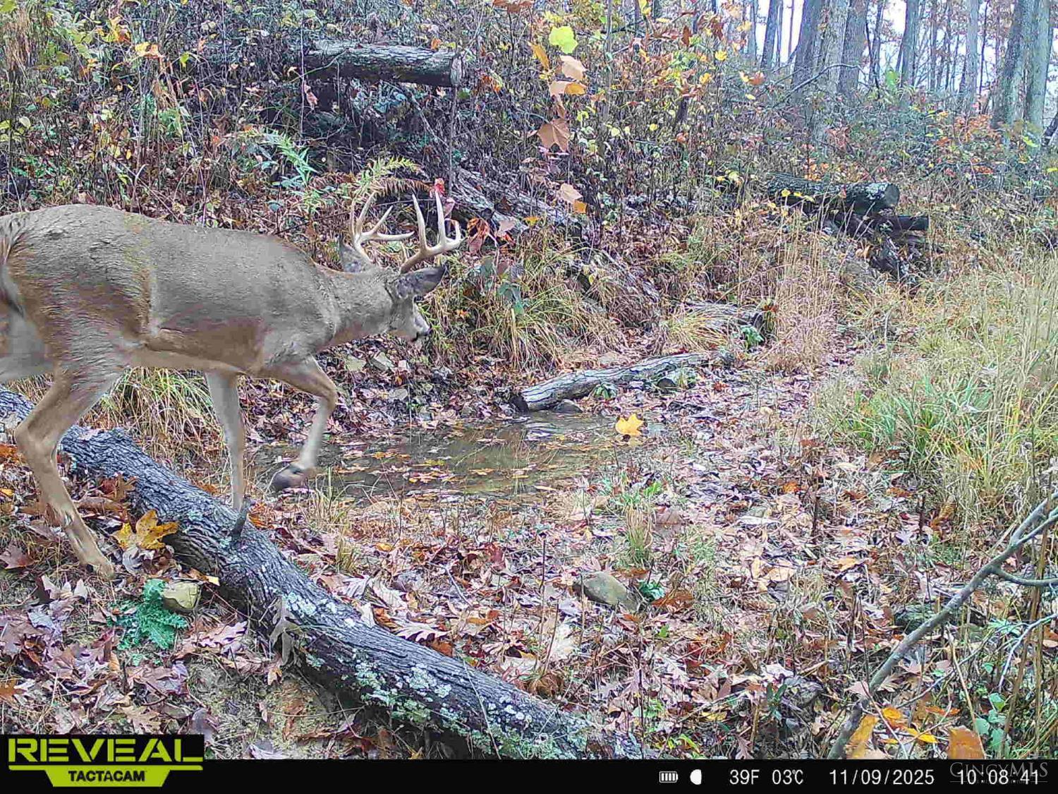Ac Beech Fork Road Peebles, OH 45660 - Photo 33 of 49