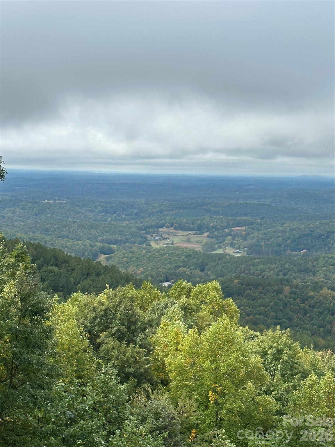 206 Amelia Lane Bostic, NC 28018 - Photo 12 of 48 an aerial view of residential houses with outdoor space