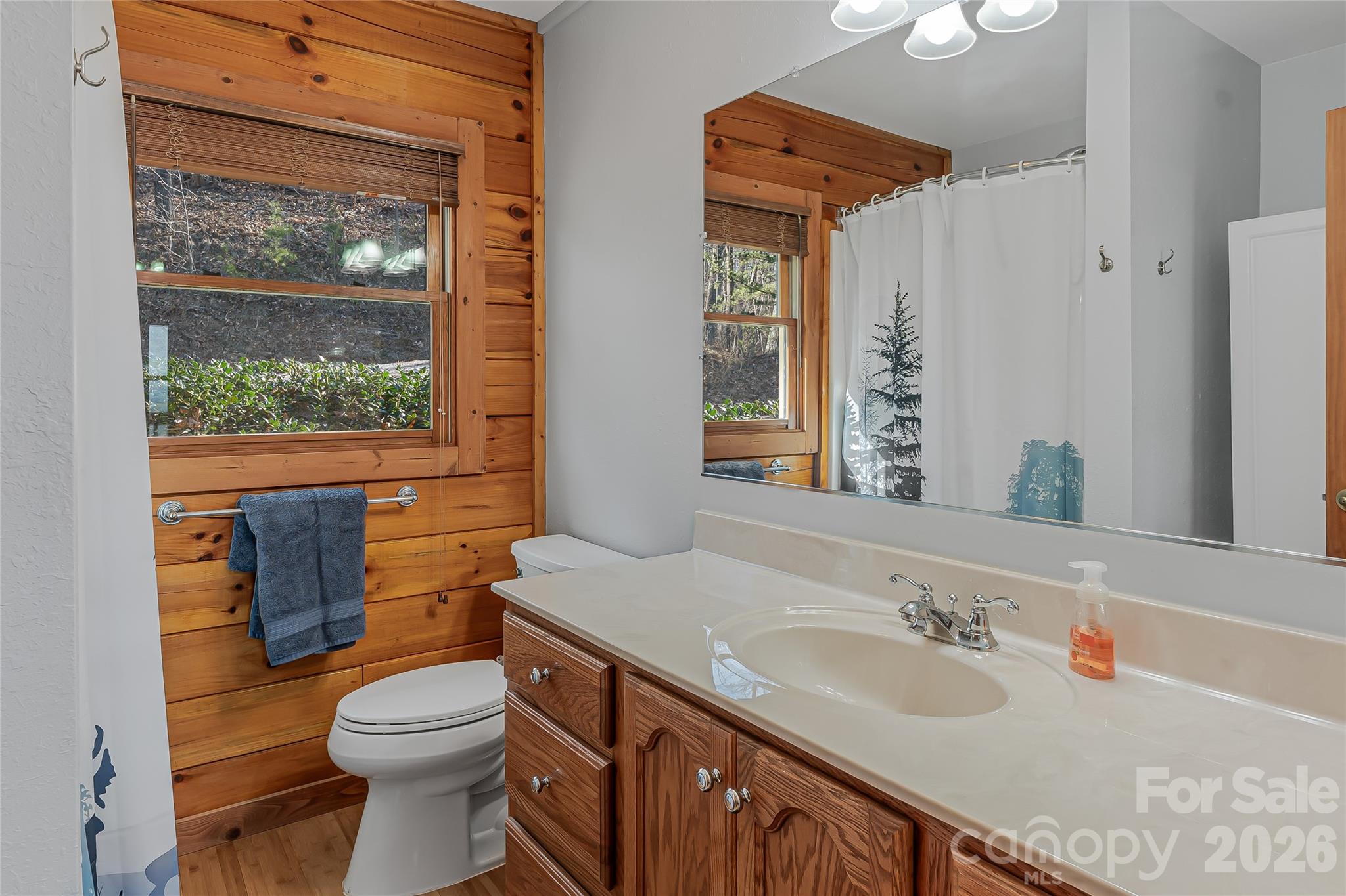 206 Amelia Lane Bostic, NC 28018 - Photo 30 of 48 a bathroom with a toilet sink and mirror