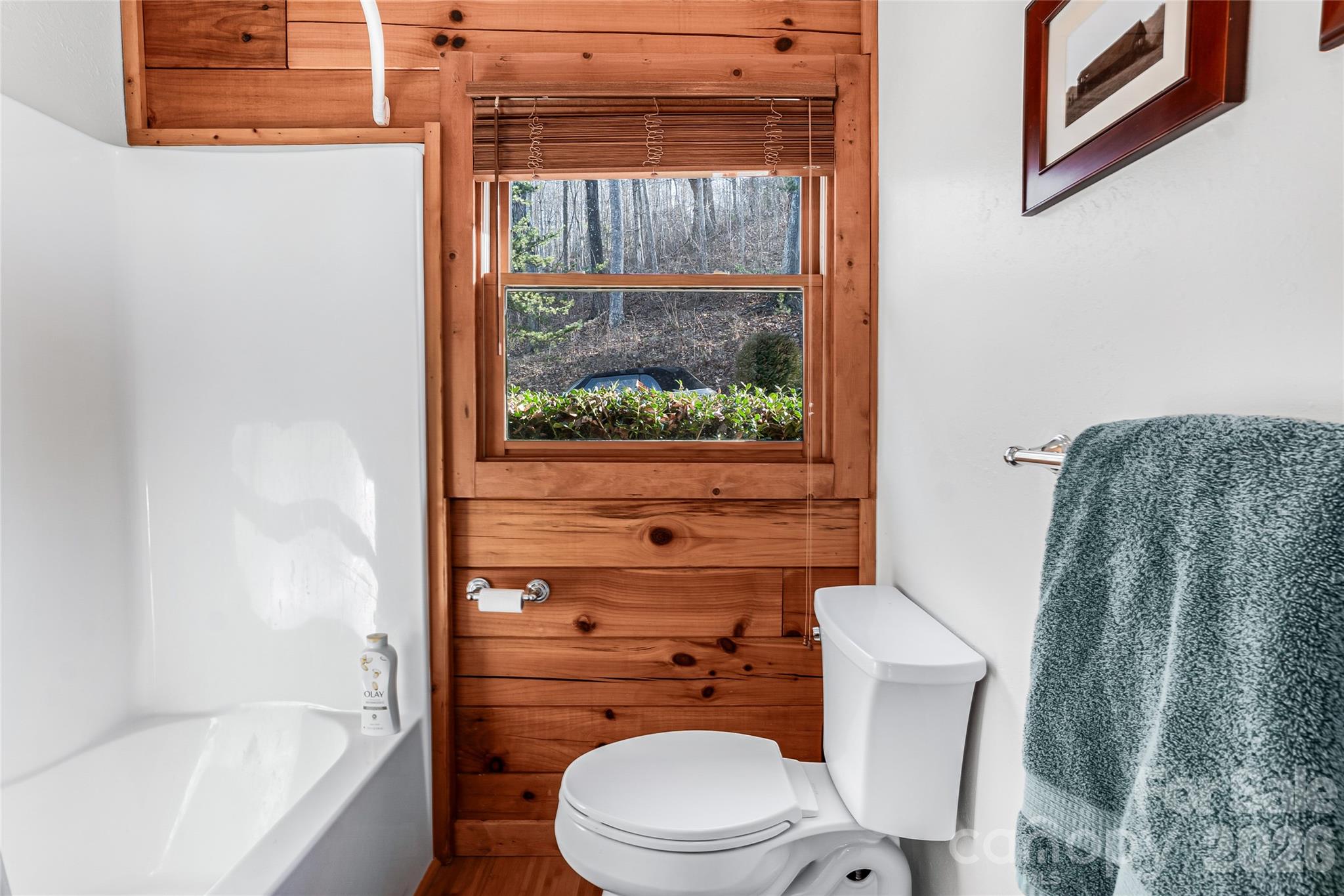 206 Amelia Lane Bostic, NC 28018 - Photo 36 of 48 a bathroom with a toilet a sink and a bathtub