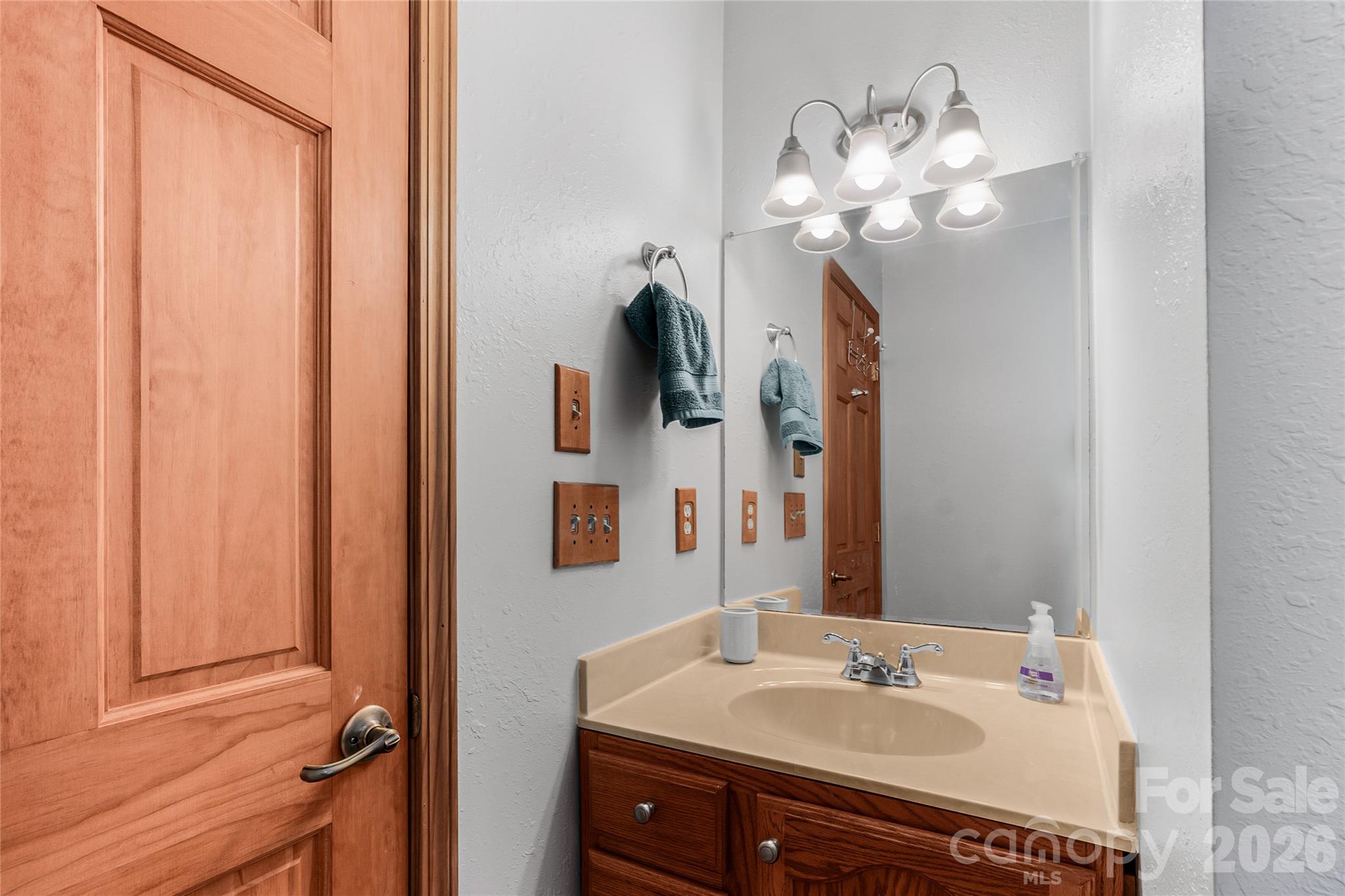 206 Amelia Lane Bostic, NC 28018 - Photo 37 of 48 a bathroom with a sink vanity and a mirror
