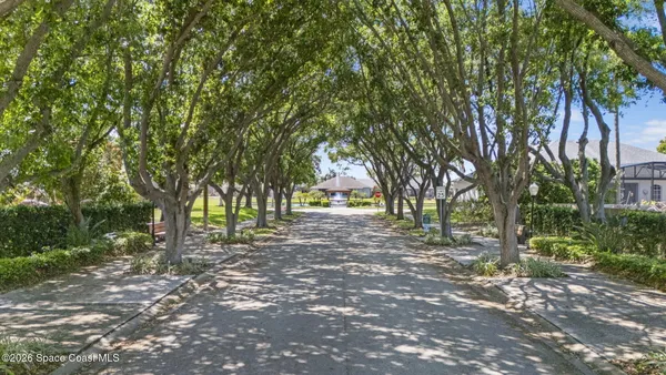 a view of outdoor space and trees