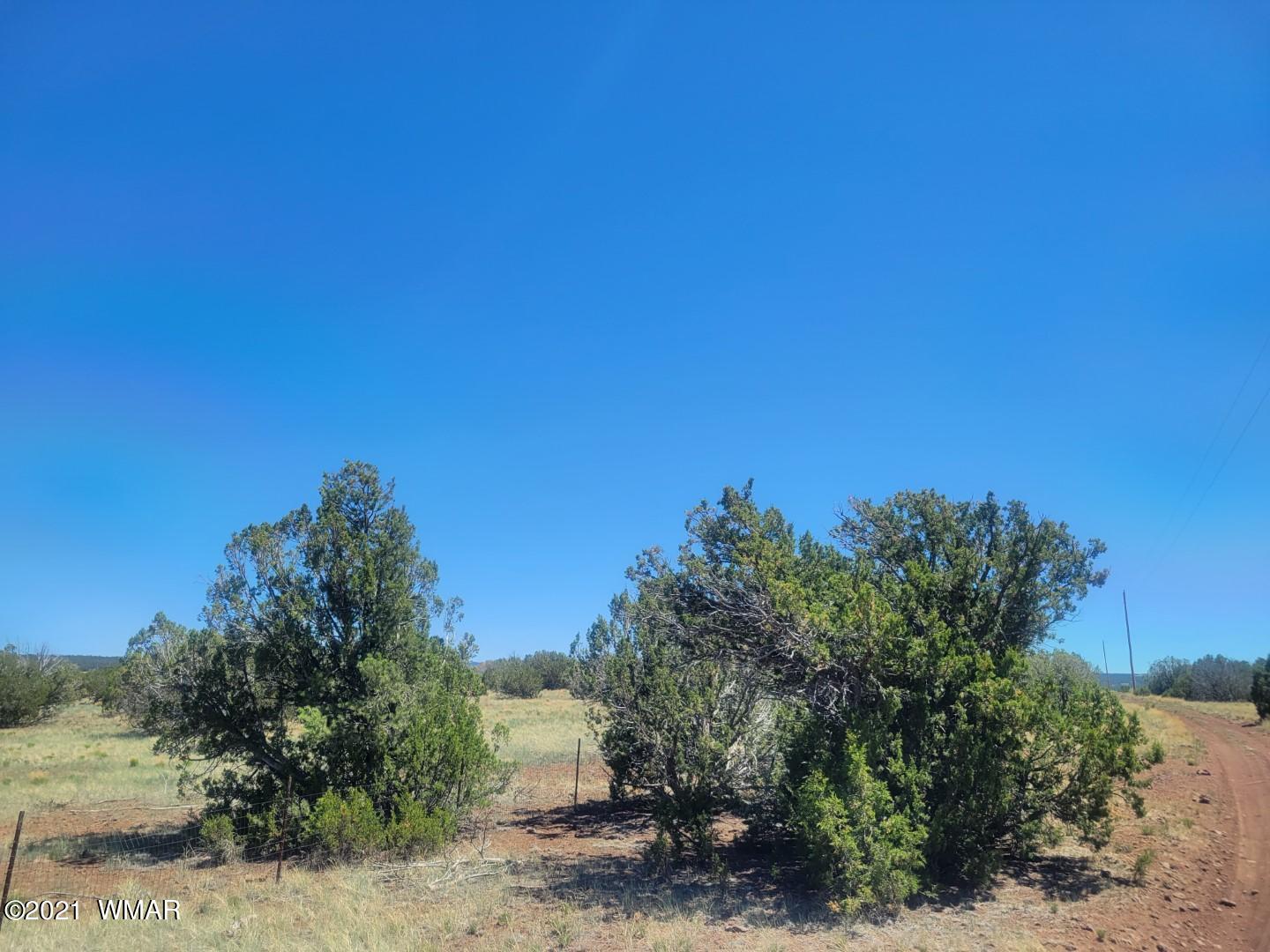 Tbd Tbd Concho, AZ 85924 - Photo 1 of 9
