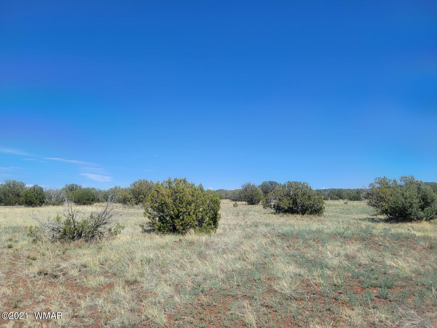 Tbd Tbd Concho, AZ 85924 - Photo 4 of 9