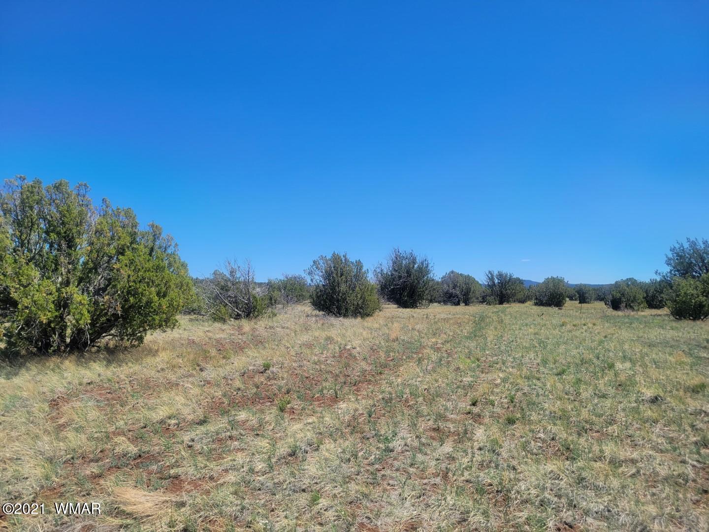 Tbd Tbd Concho, AZ 85924 - Photo 7 of 9