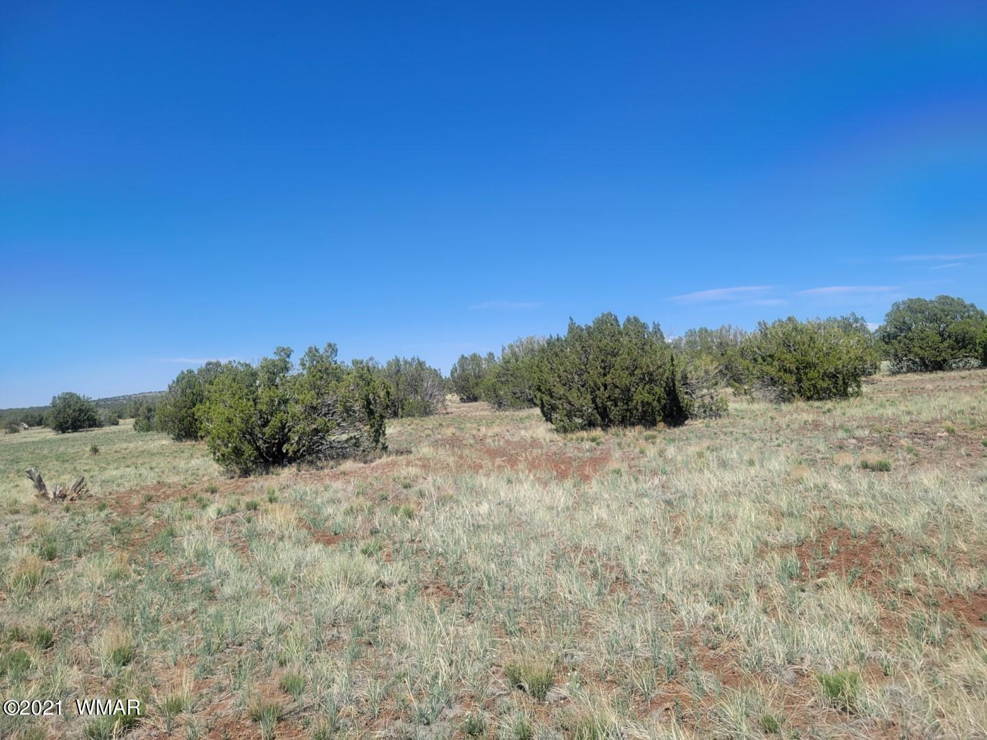 Tbd Tbd Concho, AZ 85924 - Photo 8 of 9