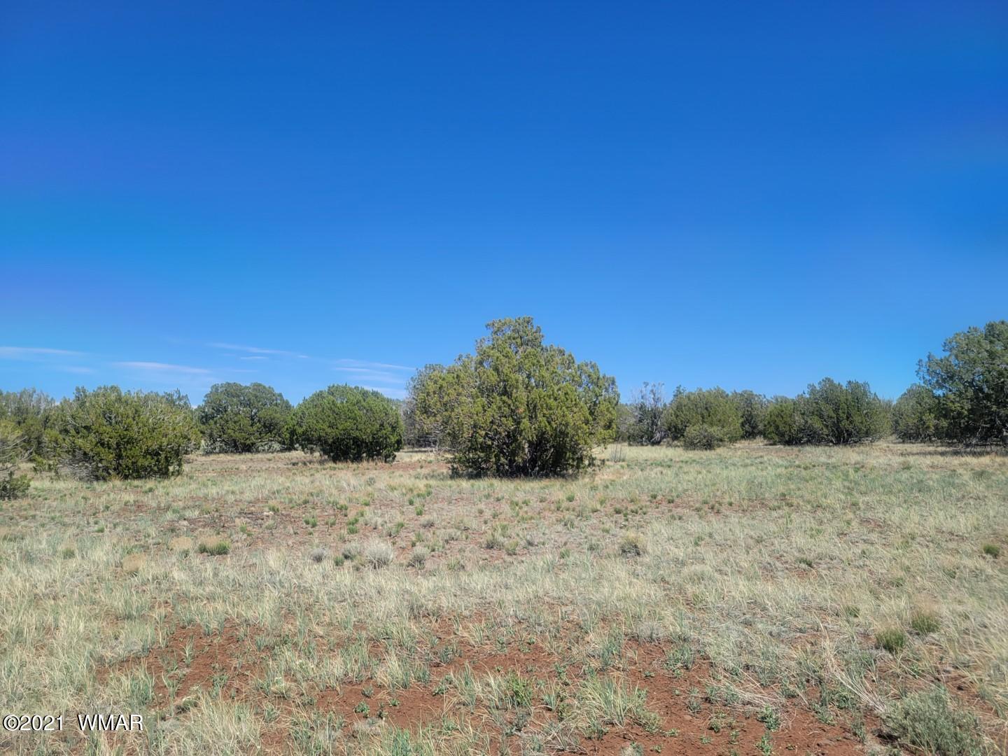 Tbd Tbd Concho, AZ 85924 - Photo 9 of 9