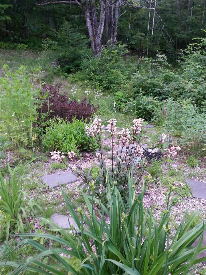 2037 Fay Brook Road Sharon, VT 05065 - Photo 22 of 40 Gallery Image 22
