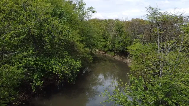 a view of a lake with a forest