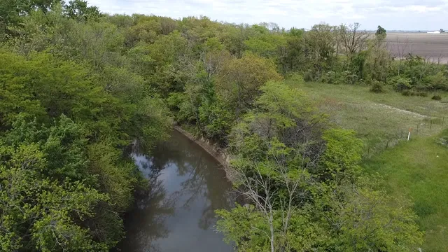 a view of a forest with a lake