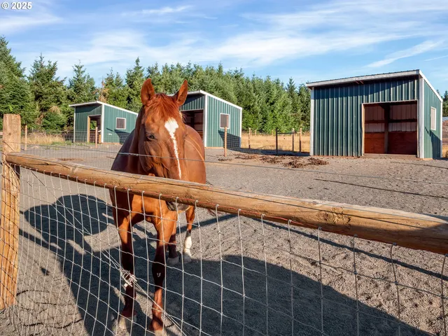 $1,745,000 | 37658 Highway 213, Mount Angel, OR 97362