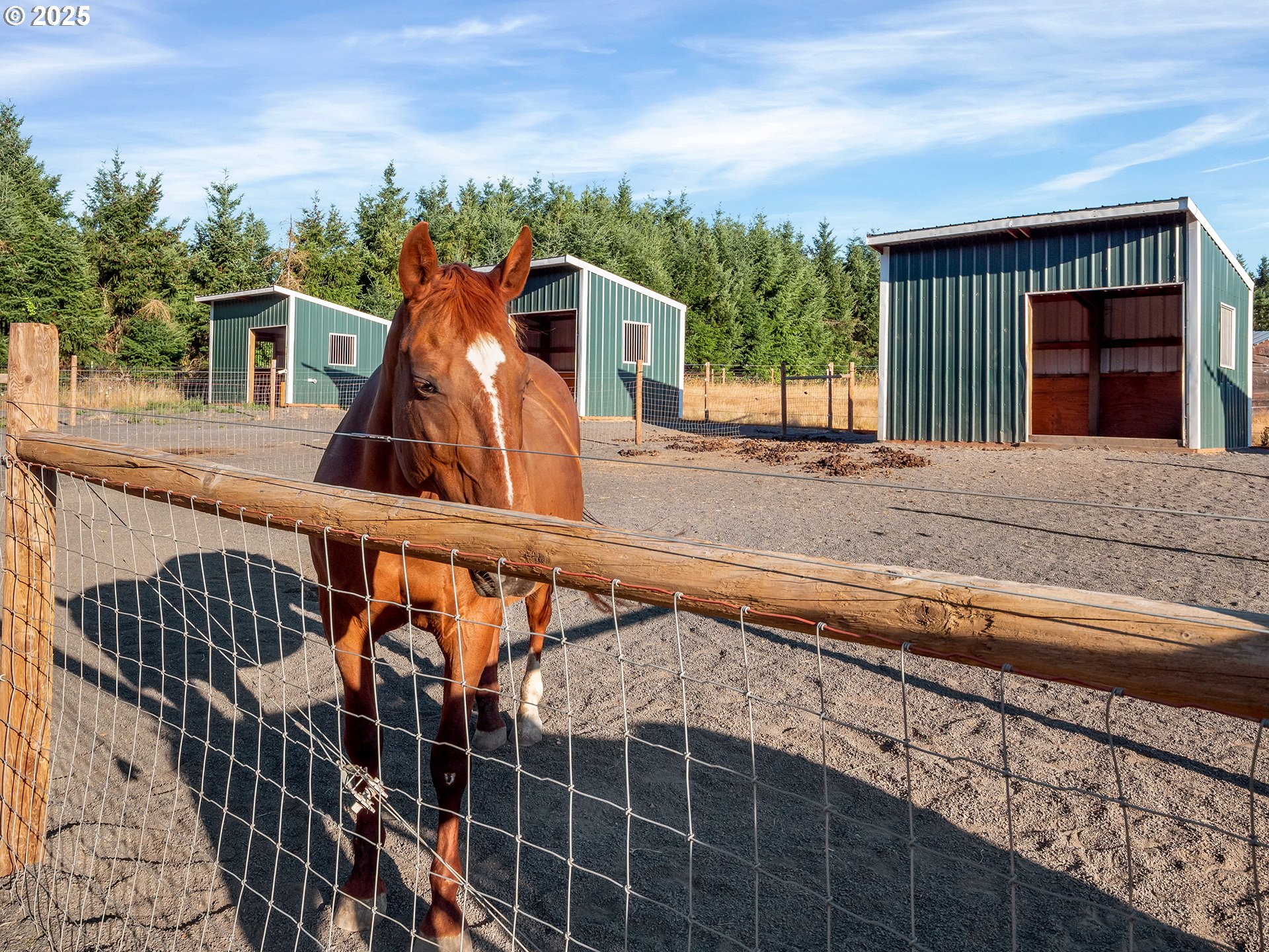 37658 Highway 213 Mount Angel, OR 97362 - Photo 29 of 43 Kitchen/Family Room